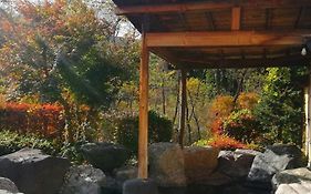 幡谷温泉 ささの湯